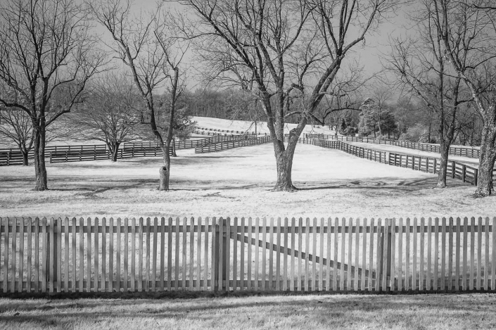 11ScarredProj Fenced Trails